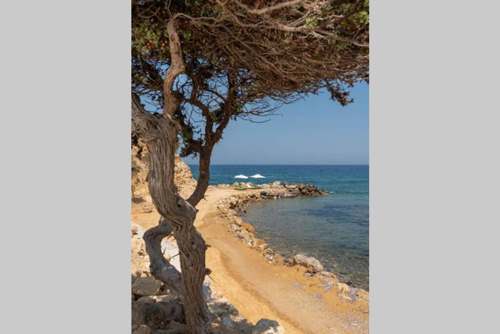 Villa Ktima Sfakia à Kéfalos Extérieur photo