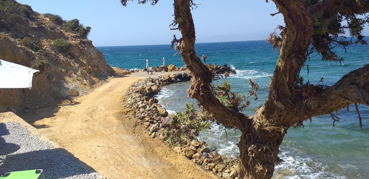 Villa Ktima Sfakia à Kéfalos Extérieur photo