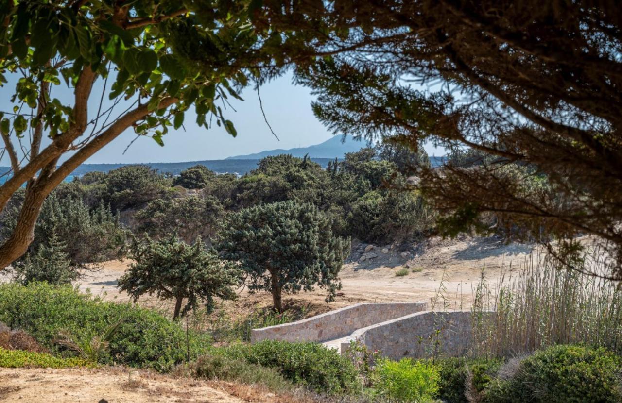 Villa Ktima Sfakia à Kéfalos Extérieur photo