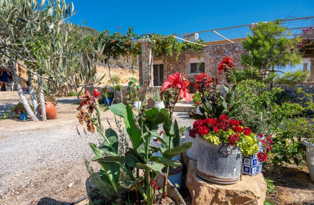 Villa Ktima Sfakia à Kéfalos Extérieur photo